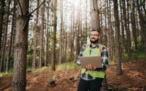 Forester working and using tablet in forest